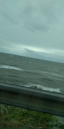 わんこ連れ淡路島旅行の記事動画