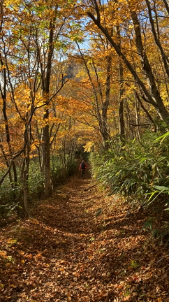 那須の紅葉【動画】の記事動画