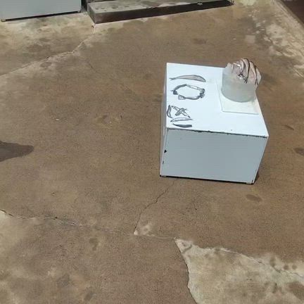 ナギ！誕生日おめでとう♪の記事動画