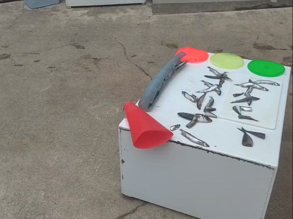 ライム！誕生日おめでとう♪の記事動画