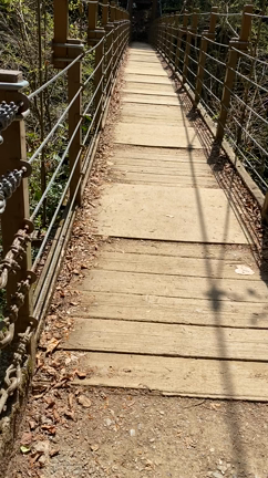 約束の高尾山への記事動画