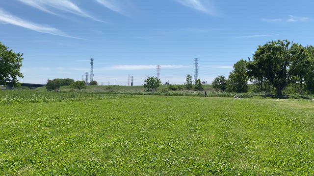GWわくわく緑地への記事動画
