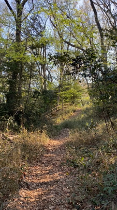 城山公園で靴慣らしの記事動画