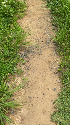 狭山丘陵の小道のゴールの記事動画