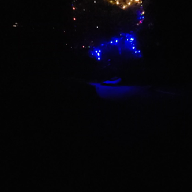 クリスマスツリー✨✨動画の画像