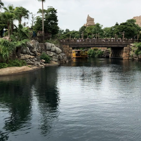 ディズニーシー、楽しかったショー（まさかの下書き中だった）の画像