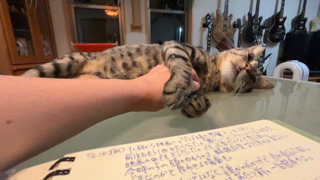 今日のケンヂの記事動画