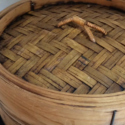 東京では桜開花宣言の記事動画