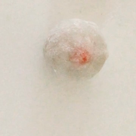 マクロビいちご大福の記事動画