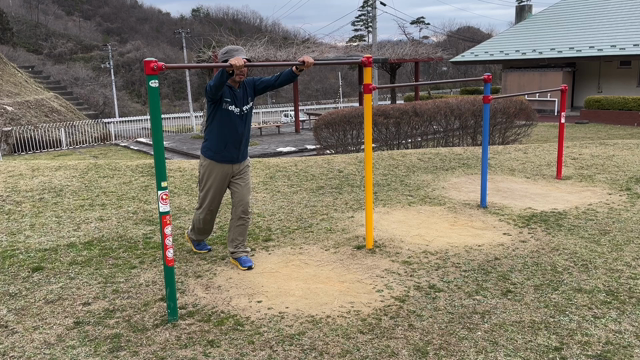 イブちゃん、力くんと恋くんが来た・公園で遊ぶの記事動画