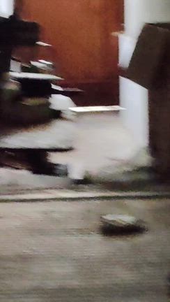7／6　楽器練習会の記事動画