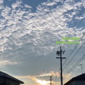 2024/07/20の画像