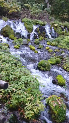 とりあえずニセコ旅行記の記事動画