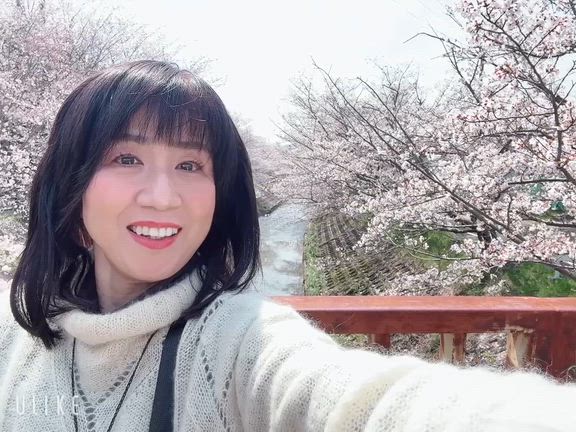 近所でお花見①の記事動画