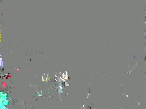 サプライズ＆菜の花畑♪の記事動画