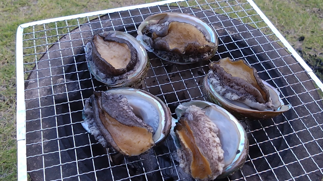 お盆中日…今日も天気は不安定(+_+)の記事動画