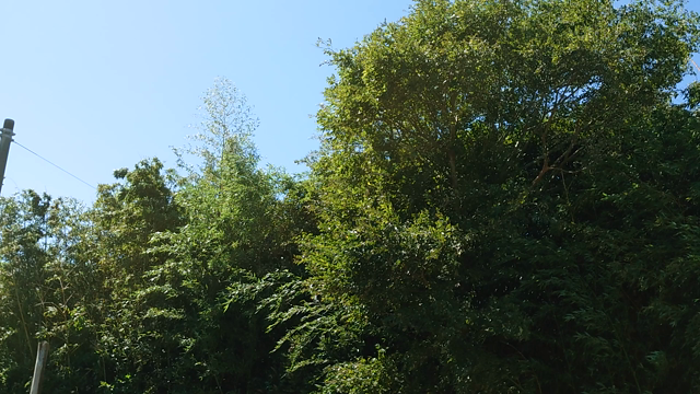朝ランあとは…整体師に揉みほぐされての記事動画