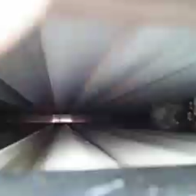 戸袋に小鳥の雛が!!の画像