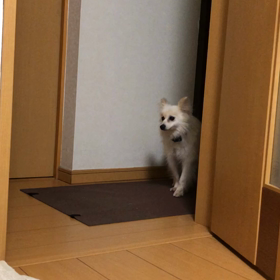 成長したな～の画像