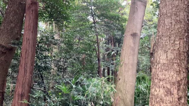 旅路の途中での記事動画