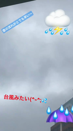 暴雨の記事動画