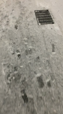 福岡の記事動画