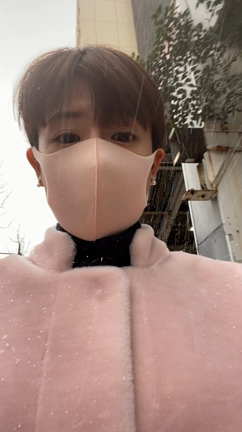 雪の記事動画
