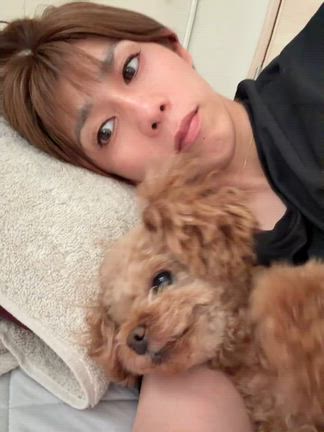 愛犬の記事動画