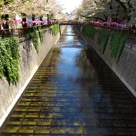 飽きないの画像