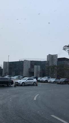 韓国は雪(^ ^)でも〜の記事動画