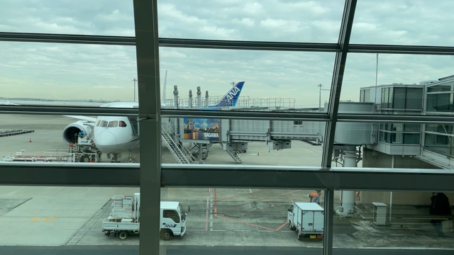 0歳児との親子2人旅(2) 羽田空港乗り継ぎの記事動画