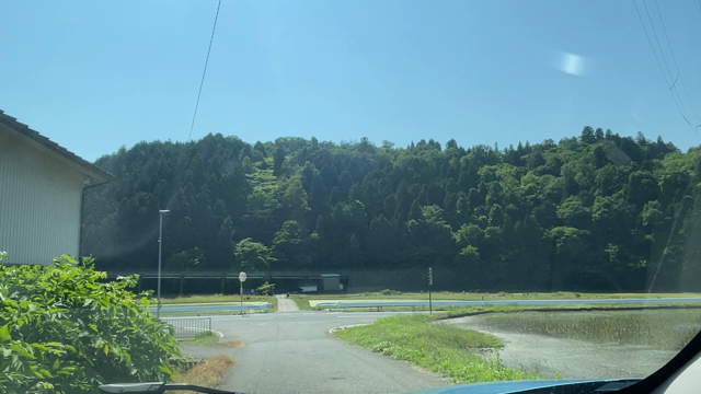 お墓クリーニングから見る、士業の傾向の記事動画