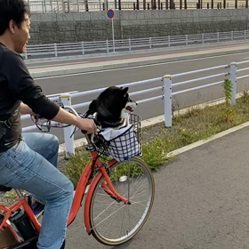 自転車の画像