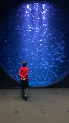 足もと照らせばの記事動画