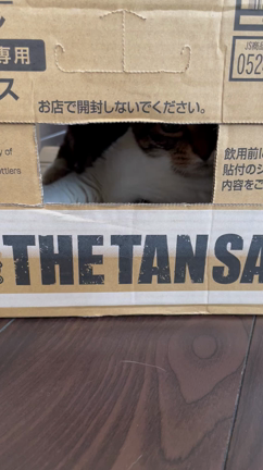 私のゴールデンウィークの記事動画