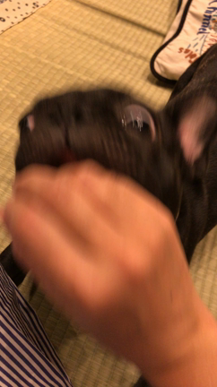 おまけ  超絶ブスな動画の記事動画