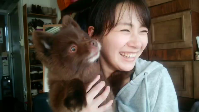 今日は愛犬の日Uo･ｪ･oU♪の記事動画