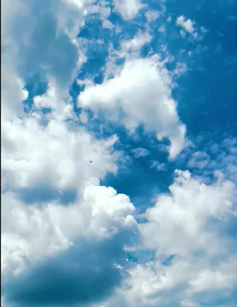 ブルーインパルスの記事動画