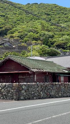 目の前に見えるのは九州よの記事動画