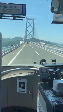 狐につままれました〜の記事動画