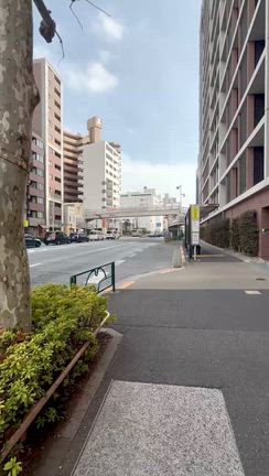 ２月26日鑑定会開催まで後2日です!!の記事動画