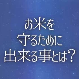 お米を守るために出来る事とは？の画像