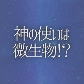 神の使いは微生物！？の画像
