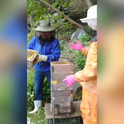 養蜂3年目✨の記事動画