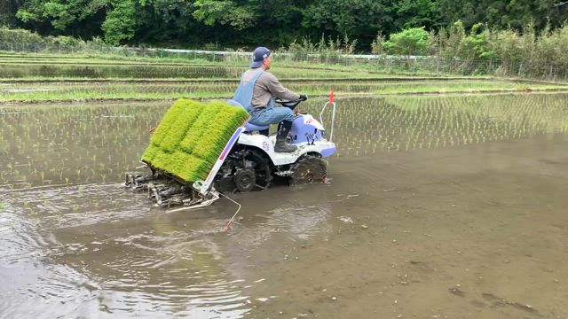 ヨスケ。の30年ぶりのの記事動画