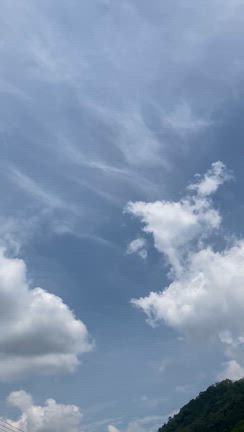 ヨスケ。の田植えその後のの記事動画