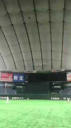 夢の東京ドームの記事動画