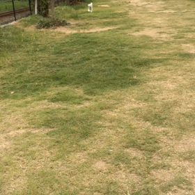 愚問。の画像