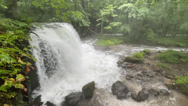 Vol.7【タゴガエル】身体能力たかーっ！これがワイルド原産やぁの記事動画