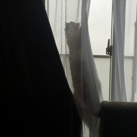 健康診断の画像